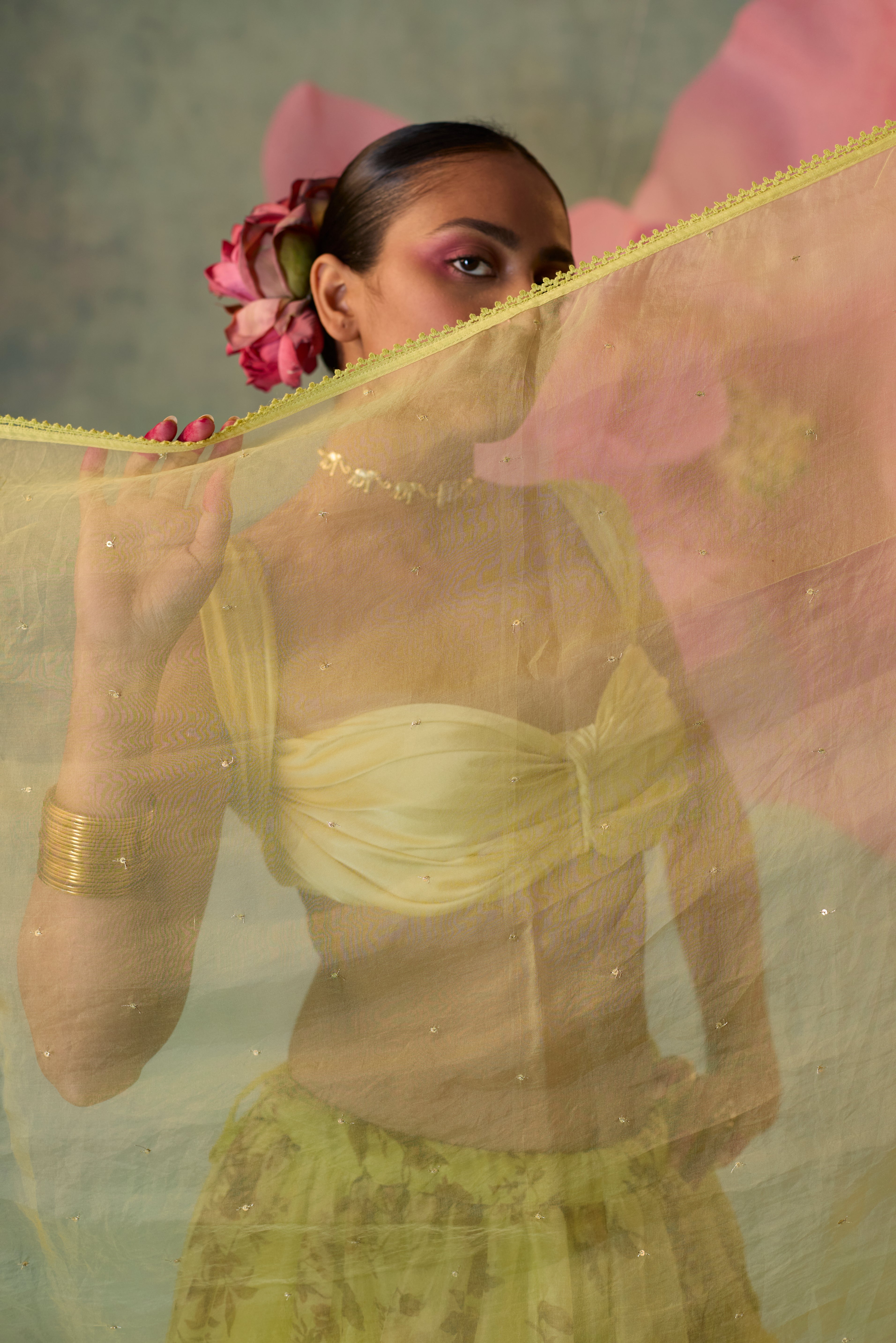 Printed Organza Lehenga Set