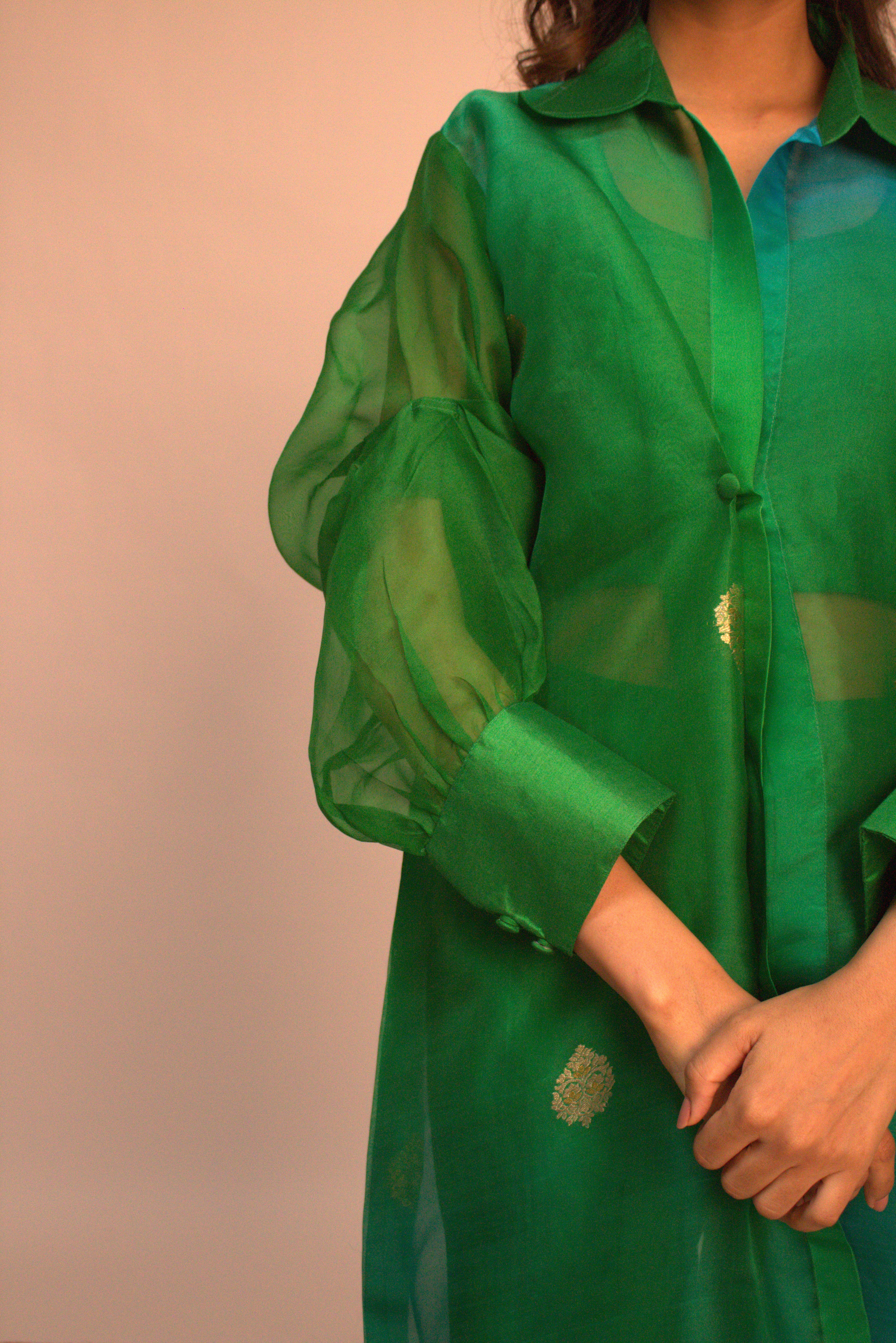 Banarasi Organza Overlay Sets