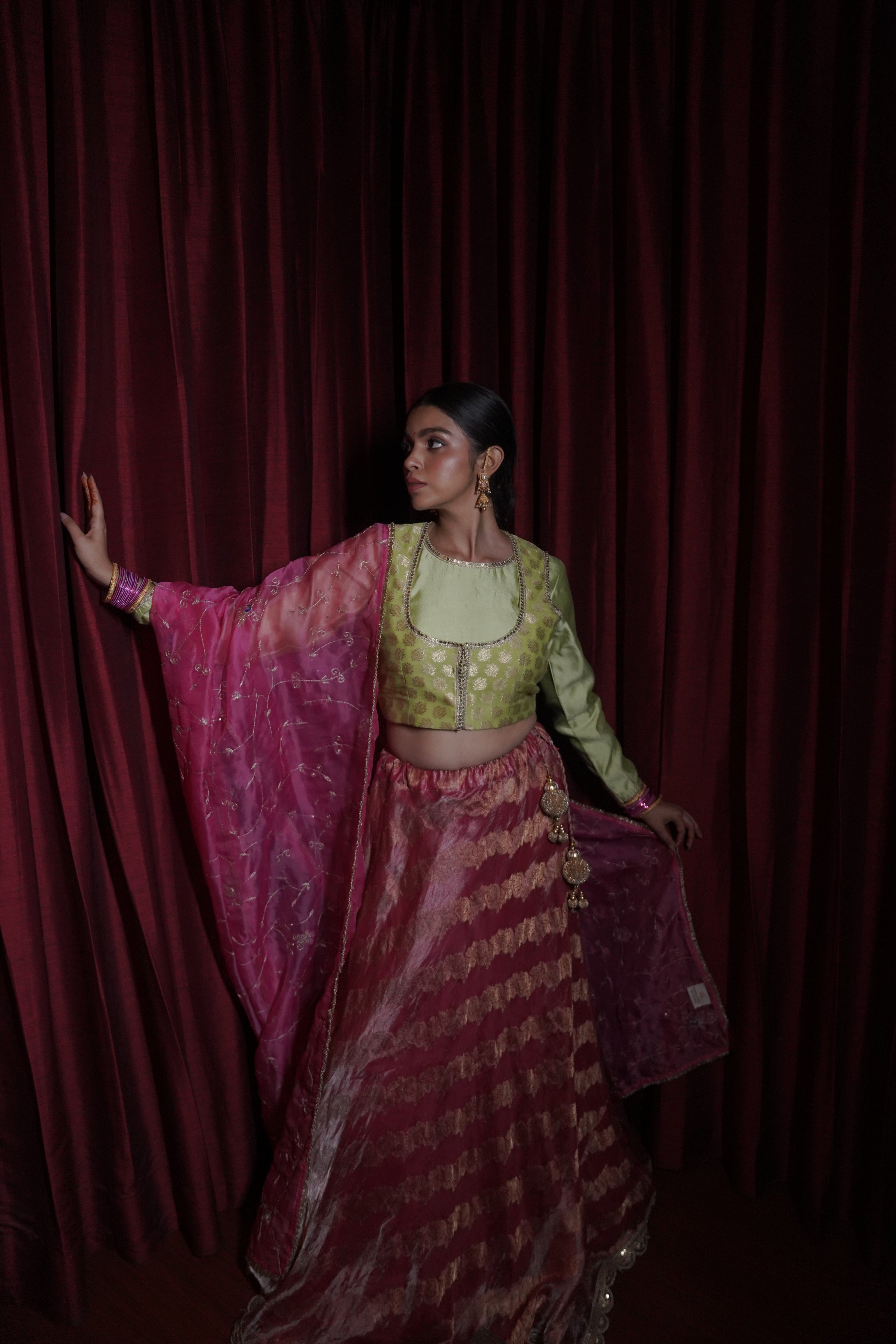 Banarasi Tissue Lehenga
