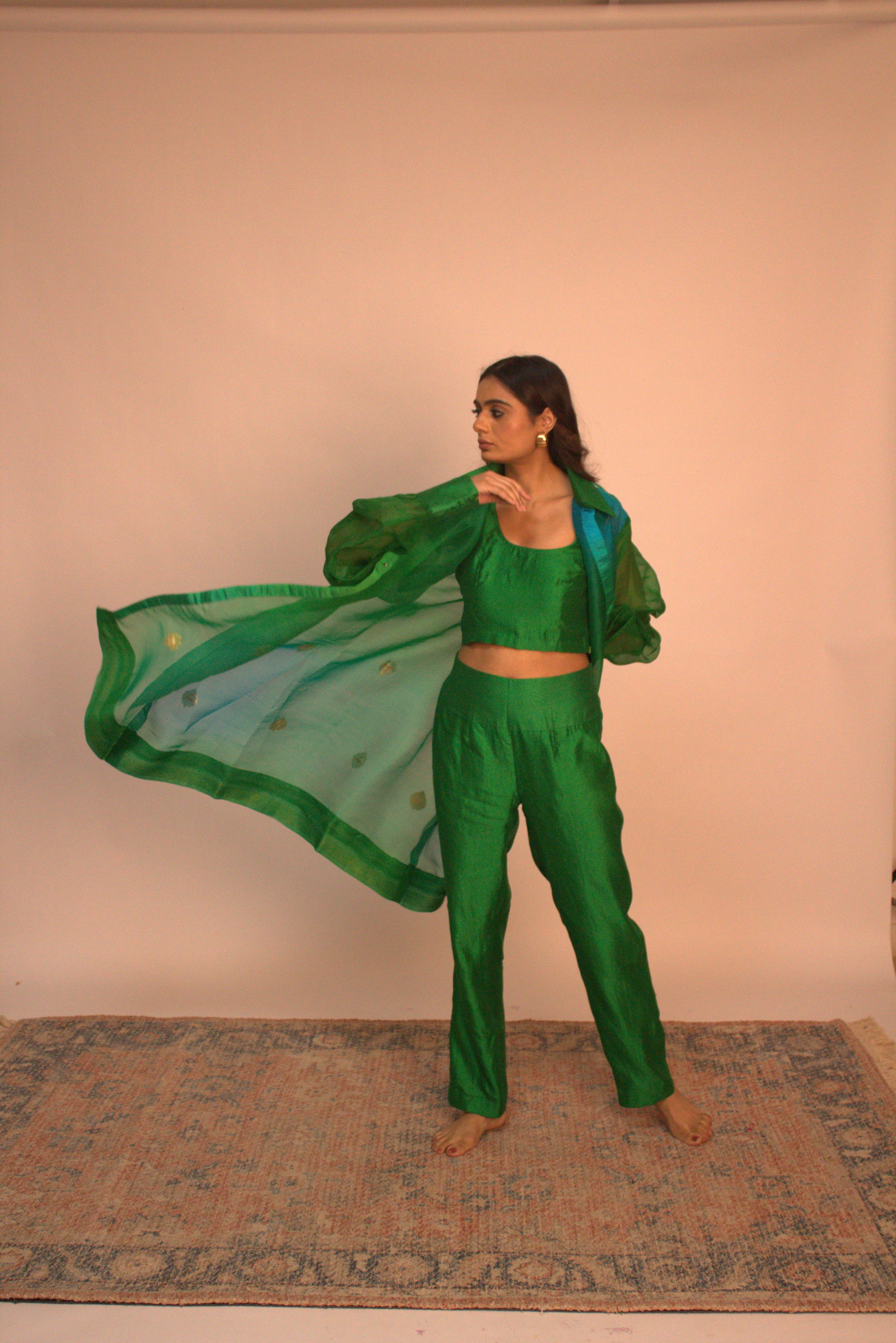 Banarasi Organza Overlay Sets
